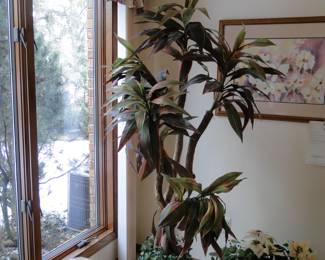 Large faux plant makes a very striking statement