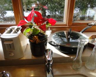 Yes, the Poinsettia is still alive