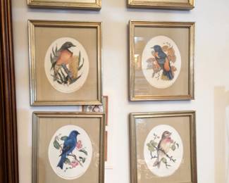 The Franklin Gallery Songbirds of the World