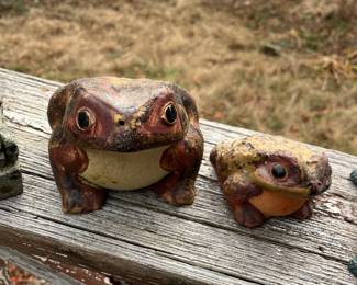 toads