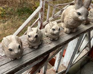 mama rabbit and bunnies