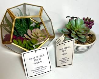 Hobby Lobby succulents