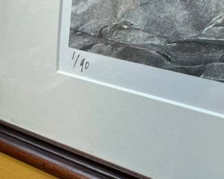 "Vista Caliente" Signed/Numbered Print Framed