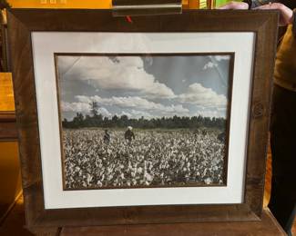 Cotton Field Print Framed
