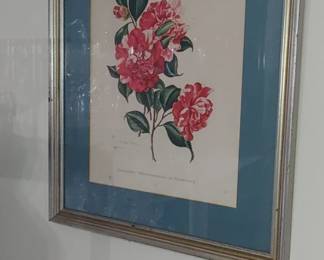 Marjorie Keen signed lithograph prints
