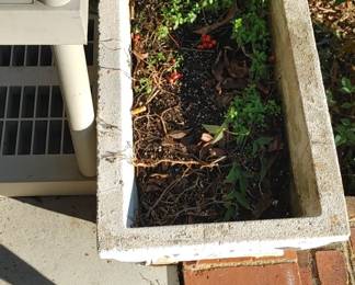 Oblong concrete planter