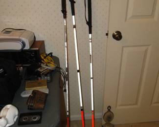 Three different walking canes