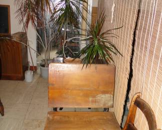 Yes that large giant plant is also for sale, as well as the student desks and multiple chairs that we have