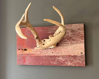 ASSORTED WALL MOUNTED COAT HOOKS