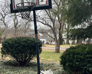 Lifetime portable outdoor basketball hoop