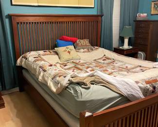 Inflatable sleep number excellent condition