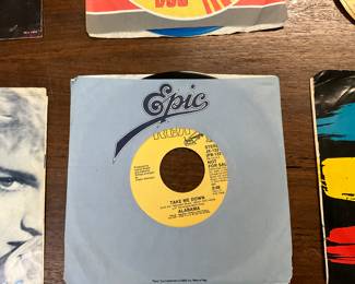 Alabama Take Me Down 45 RPM
