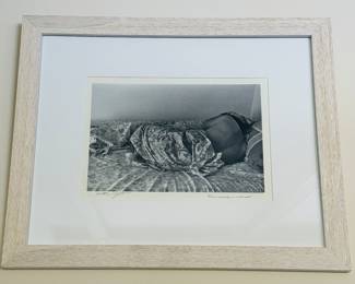 Mansoora Hassan photograph