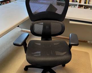 Freedom Ergonomic Office Chair