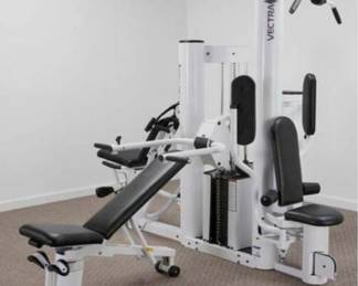 Vectra On-Line 1600 Home Gym