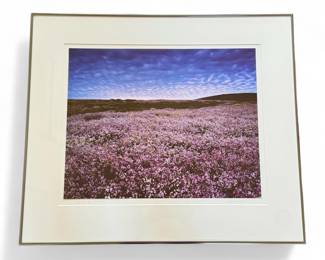 "Half Moon Bay, California" framed color photo by nature photographer Larry Hatlett - 20" x 16"