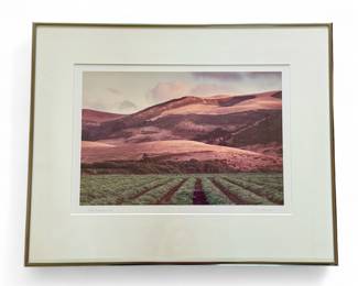 "San Gregorio, California" framed color photo by nature photographer Larry Hatlett - 13.5" x 9"