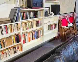 couch and more books