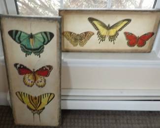 Print Displays - Butterflies and Moths