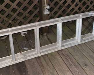 Extension ladder (everyone needs one of these!)