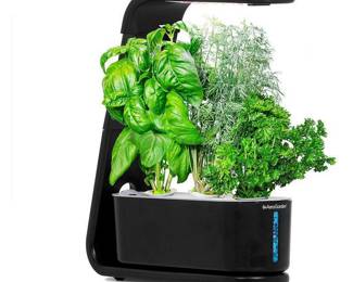 AeroGarden Sprout with Gourmet Herbs Seed Pod Kit, Black, Retail: $140.29
