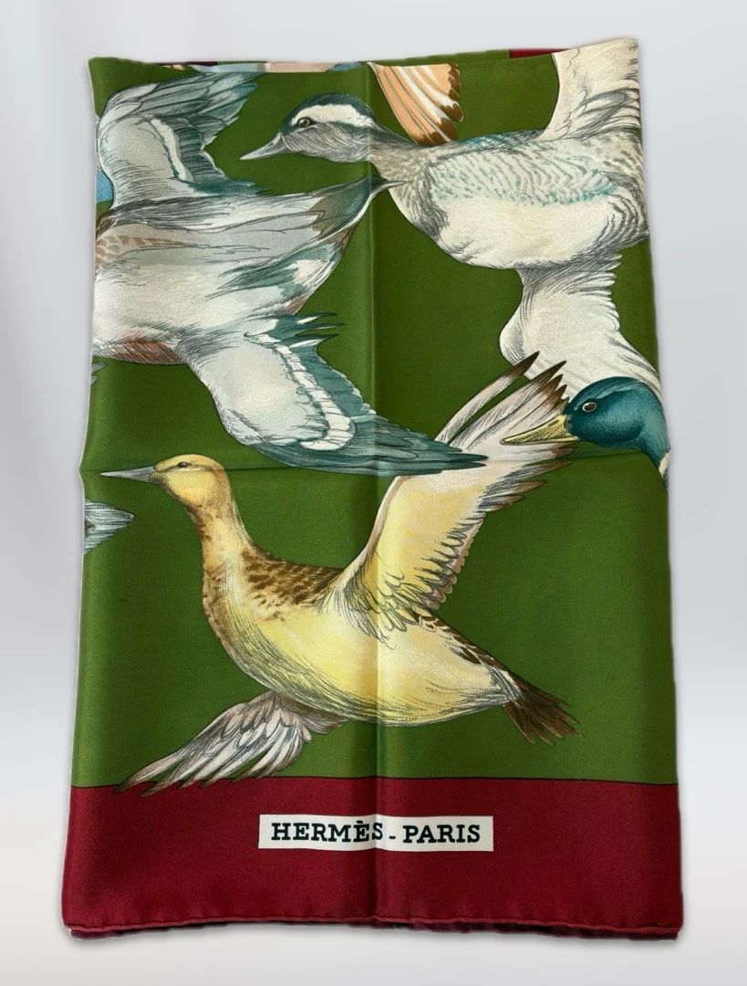  001 AUTHENTIC Hermes Sauvagine en Vol Silk Scarf 