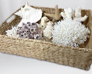 Basket of Seashells, Starfish, Sand Dollars, Sea Glass, More