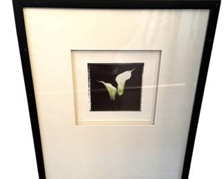 Framed Lily Wall Art 