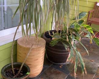 Potted Plants, Garden Stool, Side Table