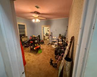 Flashlights, older tech, kitchen appliances, christmas decor