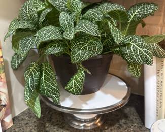 This is Sarah. She’s here for good luck. My client has her here and named her after me, which is a first. I’m totally humbled and she’s not for sale, just wanted to show her off.