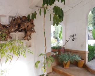 Tall 9.5' Umbrella Tree | View detailed pictures and descriptions on placerauctions.com