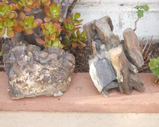 Pair of Interesting Garden Rocks/Petrified Wood | View detailed pictures and descriptions on placerauctions.com