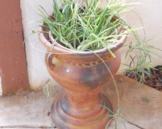 Terracotta Urn Planter w/Spider Plant | View detailed pictures and descriptions on placerauctions.com