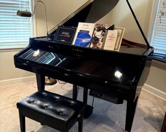 KAWAI CP200 Concert Perfomer