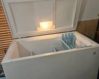 Two year-old deep freezer we have two of them. We have one in the garage as well.