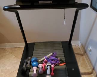 Woodway USA Shorter Length Inclined Treadmill