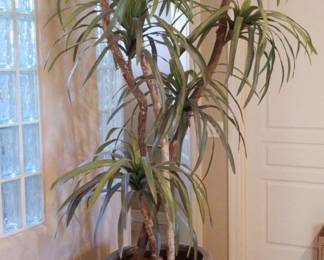 9 Foot Silk Tree In WineGreenBlue Vietnamese Pot