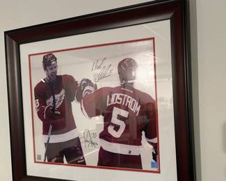 Detroit Red Wings 