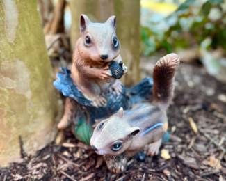 Garden Squirrels