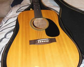 guitar and case Alvarez Regent