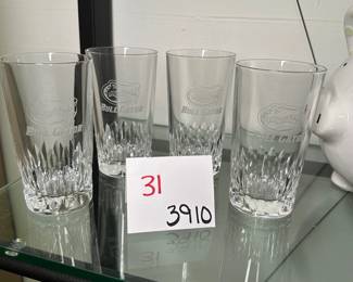 Bull Gator Glasses