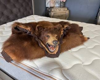 Authentic Bear Rug