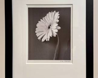 "Daisy," Signed Photograph by D. Van Swearingen