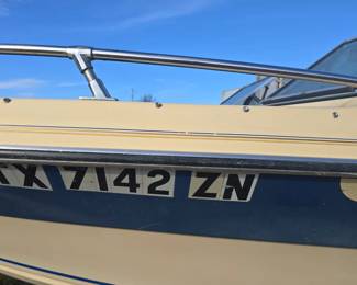 Celebrity Boat