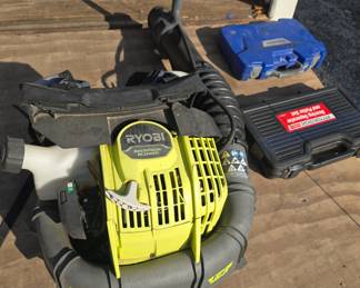 Ryobi backpack blower