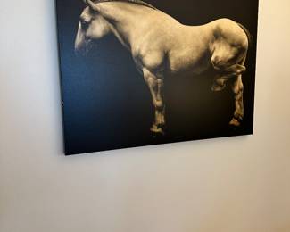 #85 - $98 - Horse Pic 30"Wx40"H
