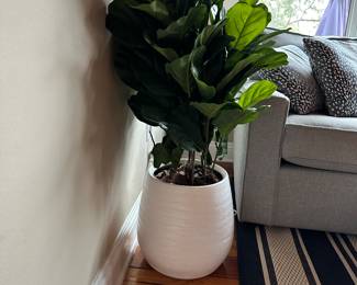 #27 - $40 - faux plant 