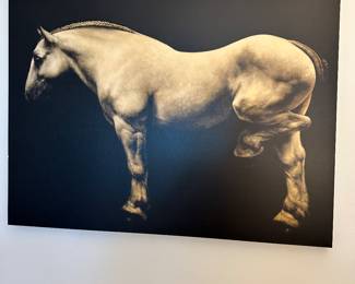 #85 - $98 - Horse Pic 30"Wx40"H