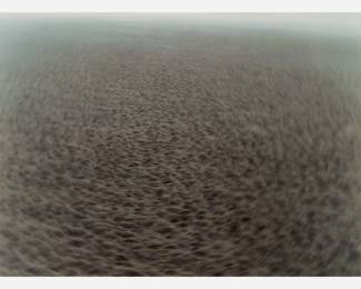 52 . Patrick Clancy "Seabed (Exchange of Flows)" Lambda Print (2004)
